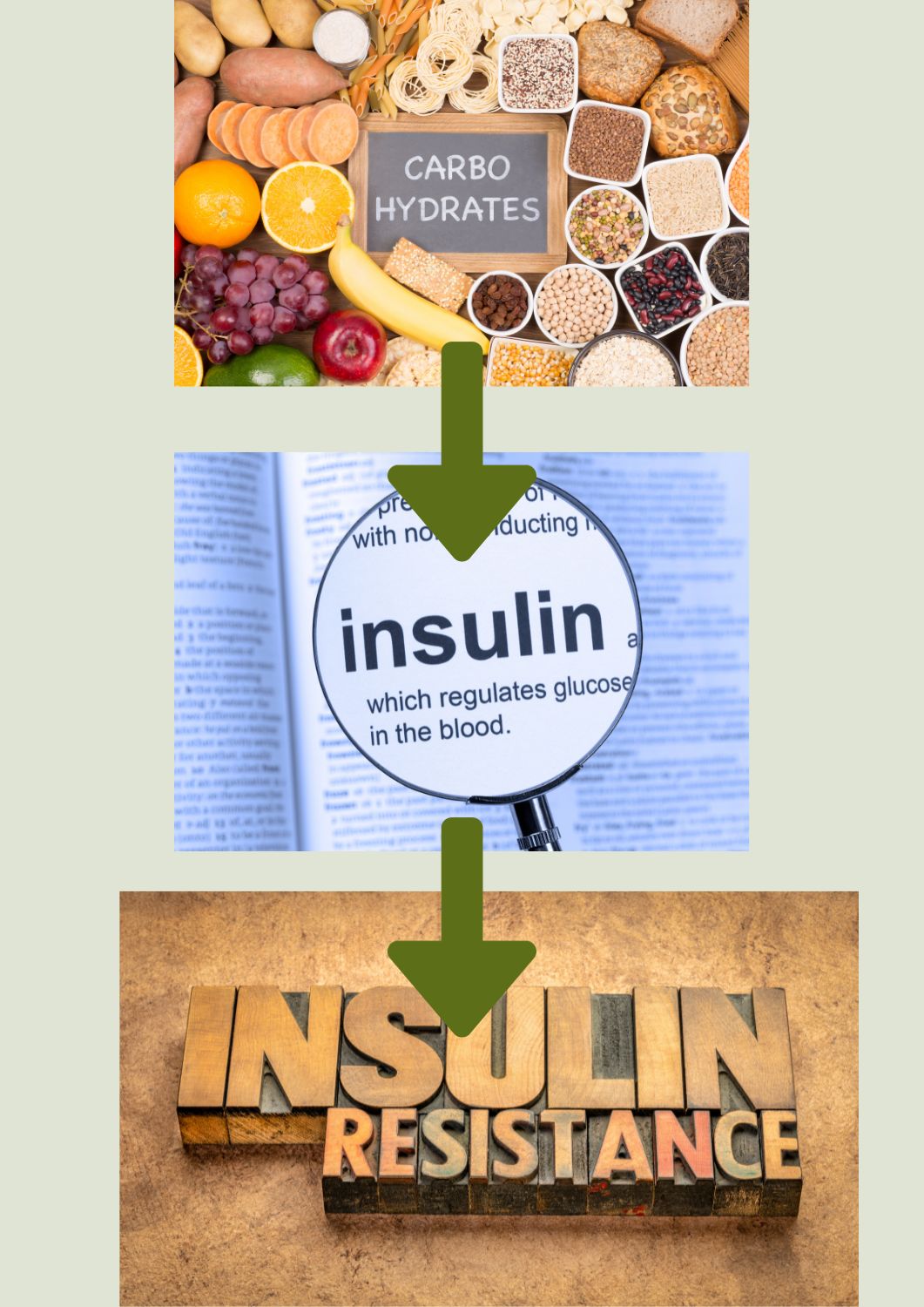 Insulin Resistance Insulin Resistance